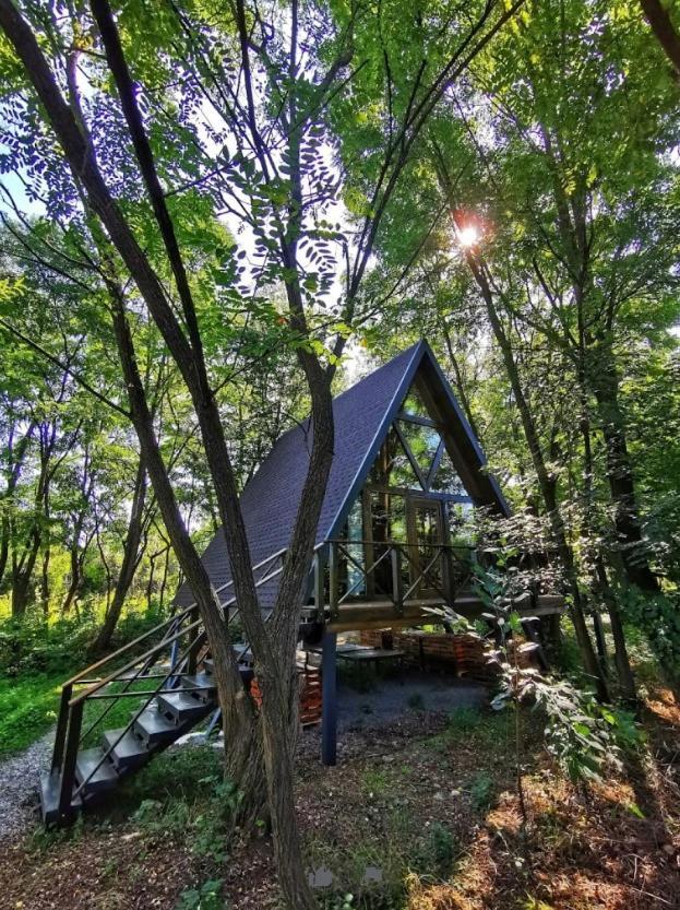 Porumbacu Treehouse Villa Felsőporumbák Kültér fotó