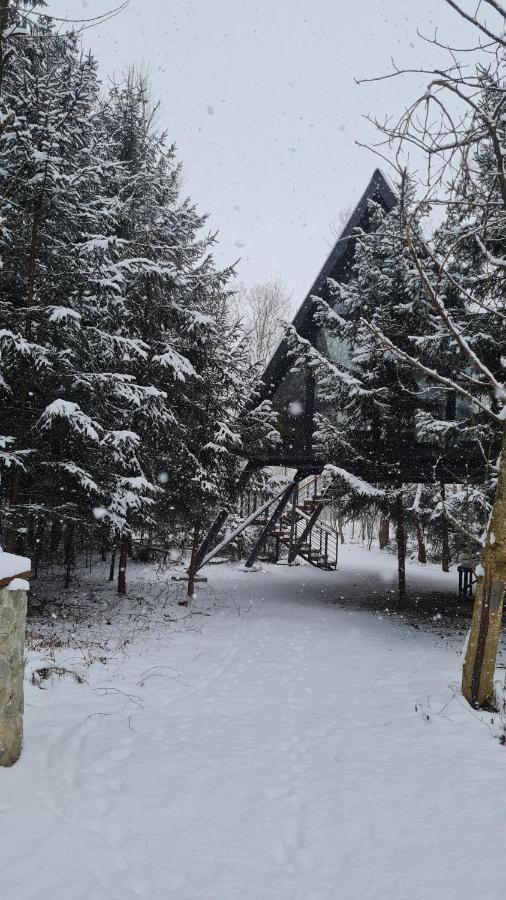 Porumbacu Treehouse Villa Felsőporumbák Kültér fotó