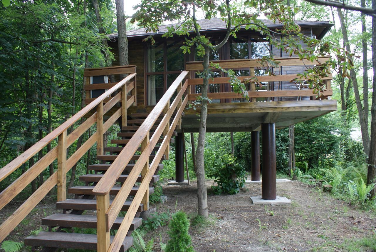 Porumbacu Treehouse Villa Felsőporumbák Kültér fotó