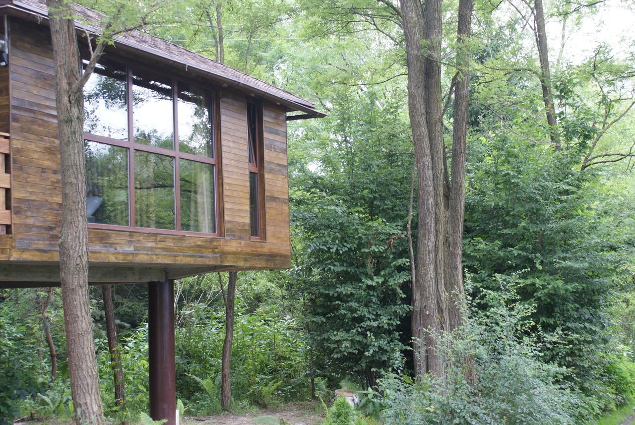 Porumbacu Treehouse Villa Felsőporumbák Kültér fotó