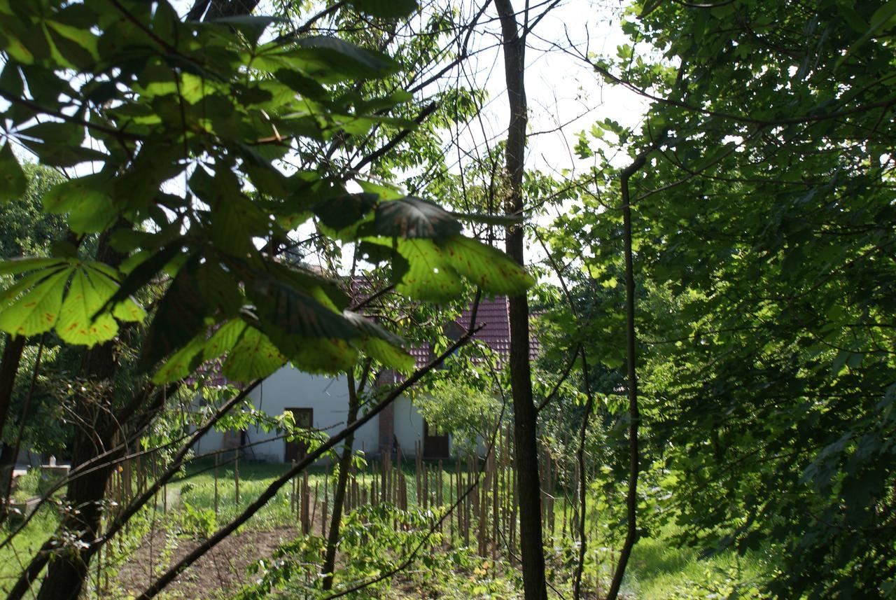 Porumbacu Treehouse Villa Felsőporumbák Kültér fotó