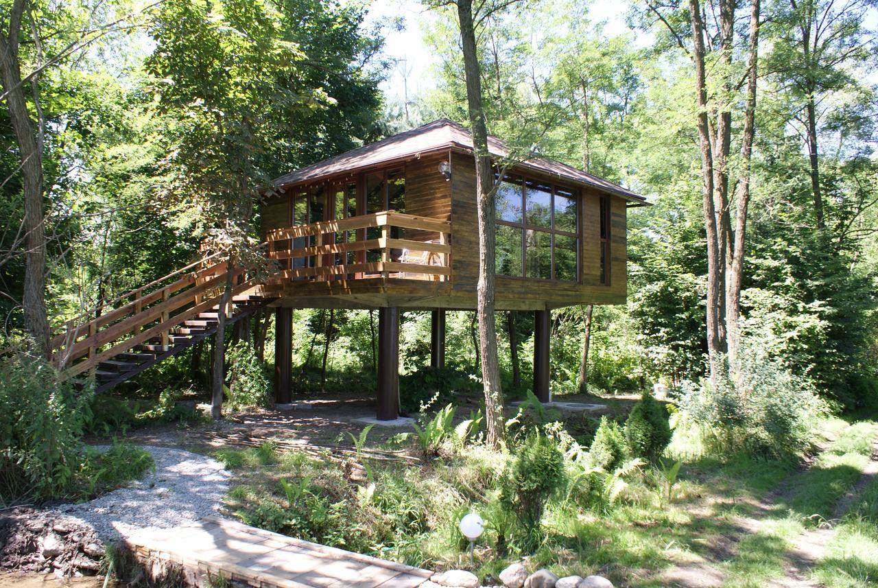 Porumbacu Treehouse Villa Felsőporumbák Kültér fotó