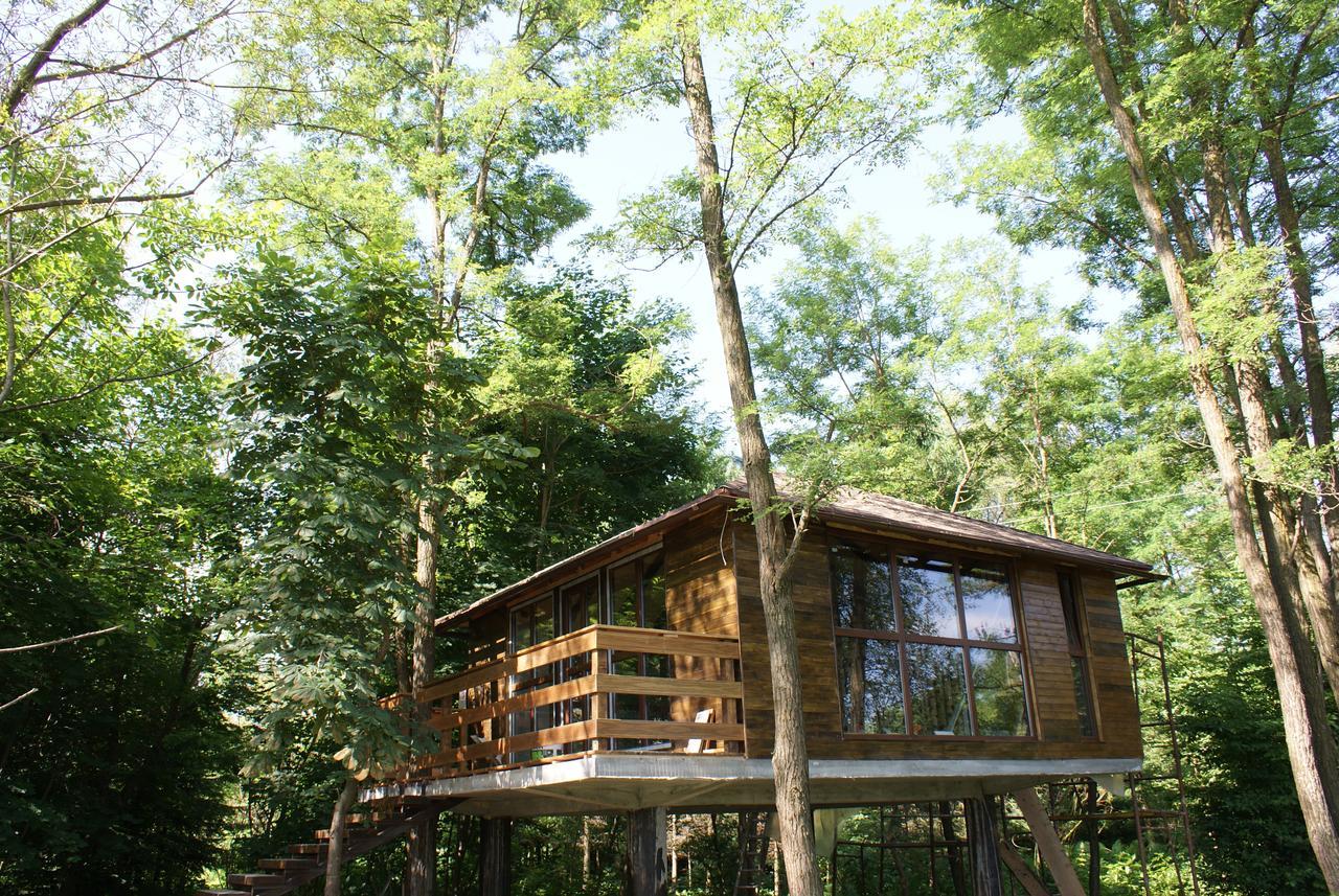 Porumbacu Treehouse Villa Felsőporumbák Kültér fotó