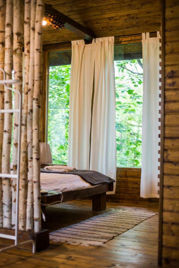 Porumbacu Treehouse Villa Felsőporumbák Kültér fotó