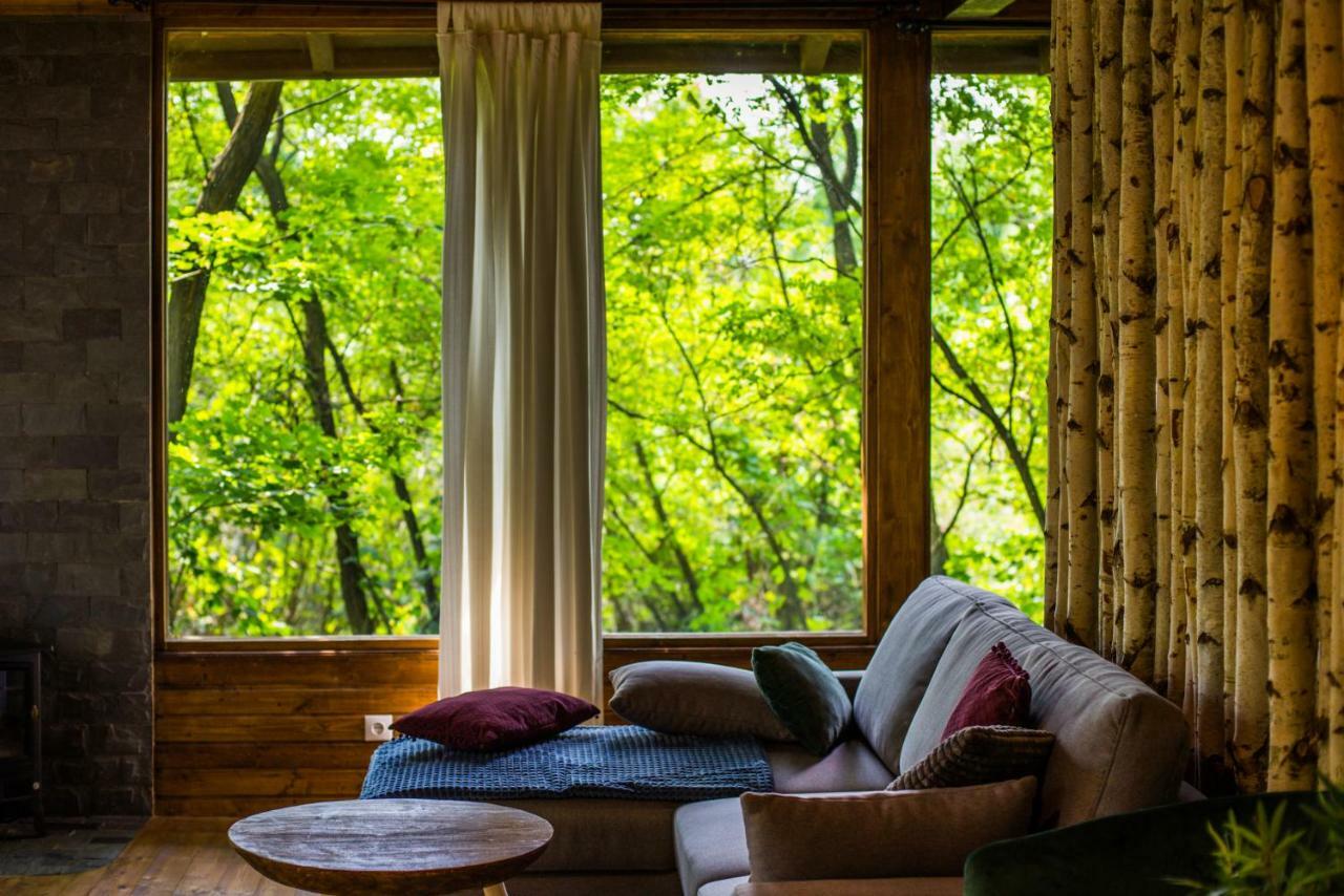 Porumbacu Treehouse Villa Felsőporumbák Kültér fotó